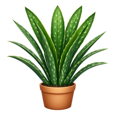 SANSEVIERIA sticker