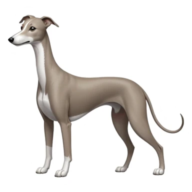 Greyhound sticker