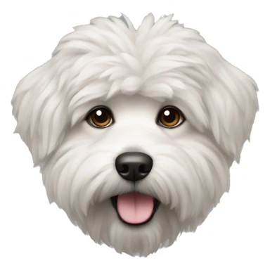 Breed of dog bishon frize mini  sticker