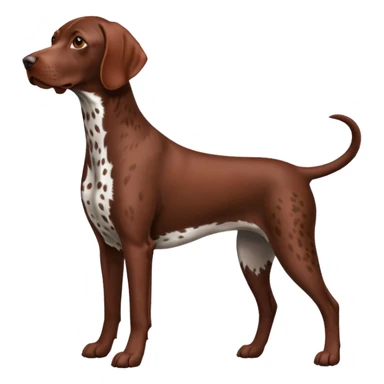 reddish brown german short haired pointer spotted  sticker