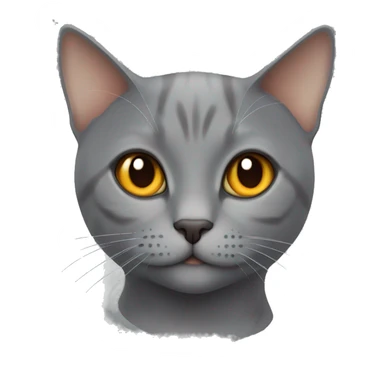 CAT grey british Short hair orange eyes sticker