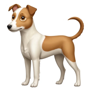 a full body large white parson russell looking dog the size of a kelpie with light brown flapped down ears and a light brown patch on one eye and a large snout sticker