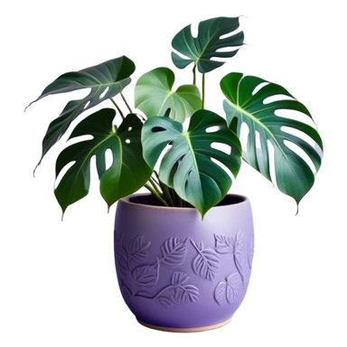 A stunning monstera plant with deep violet-green leaves, each leaf elegantly veined with subtle shades of purple, creating an ethereal glow. The plant is flourishing in a beautifully crafted lavender ceramic pot with intricate embossed floral patterns. The background features a softly blurred, moody violet gradient, enhancing the plant’s lush aesthetic. Delicate strands of ivy and tiny lavender blossoms cascade around the pot, adding depth and harmony. Soft, diffused lighting casts a gentle glow, emphasizing the plant’s unique coloration and creating a dreamy, artistic composition. sticker