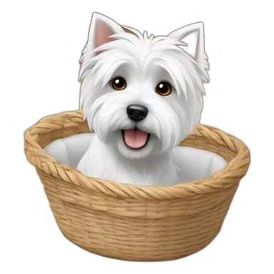 West Highland white terrier in way too small dog basket sticker