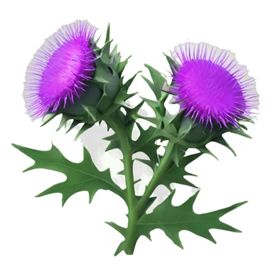 plum coloured Milk thistle sticker