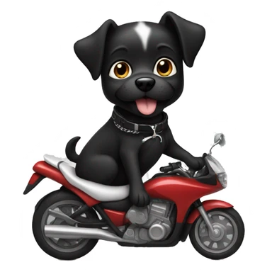 Black dog with white on her chest and toes riding a motorcycle  sticker