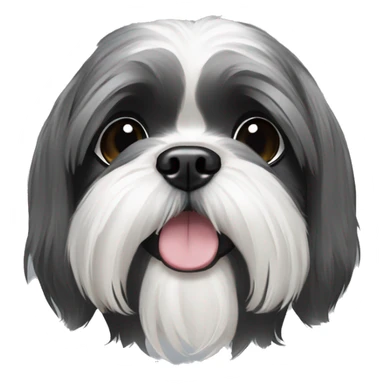 Black grey and white Shih tzu sticker