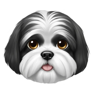 Black and white shih tzu sticker