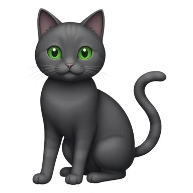 full body gorgeous solid dark grey cat with green eyes, white paws and white whiskers playing sticker