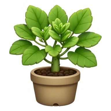 elephant bush plant sticker
