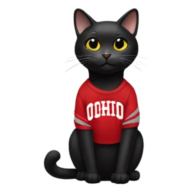 Black cat wearing an Ohio State University sweatshirt sticker