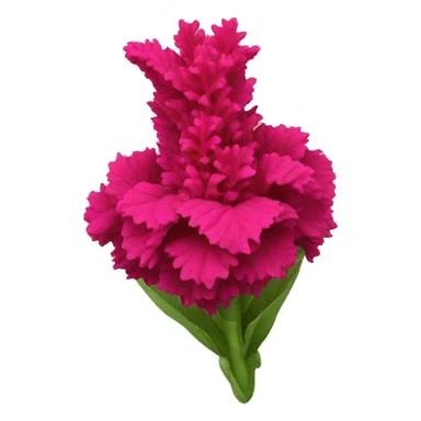 celosia flower sticker