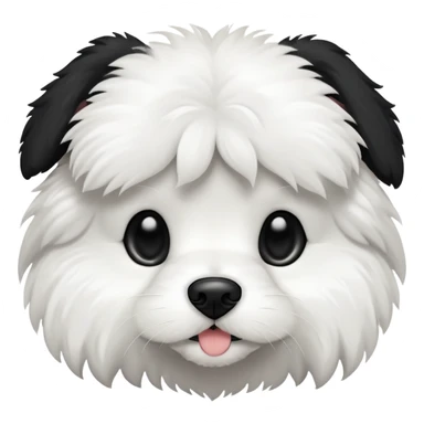 A black and white cavaton (cavalier King Charles spaniel and coton de Tulear) dog with black from his ears to around his eyes and white around his mouth and nose  sticker