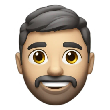 2017 elantra sticker