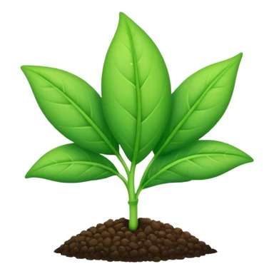 young shoot emerging from its seed sticker