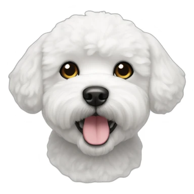 Bichon frise white with full black ears sticker