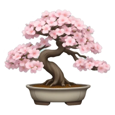 sakura bonsai tree sticker