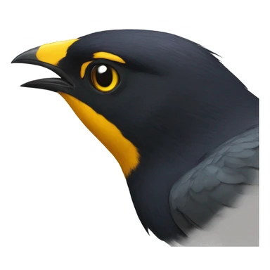 Myna  sticker