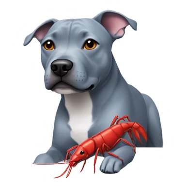 Blueish gray Staffy with a red crayfish toy  sticker