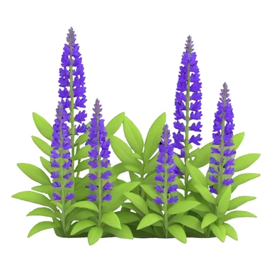 3D iOS style illustration of Salvia nemorosa, dense bush with upright purple flower spikes and green leaves, realistic and vibrant sticker