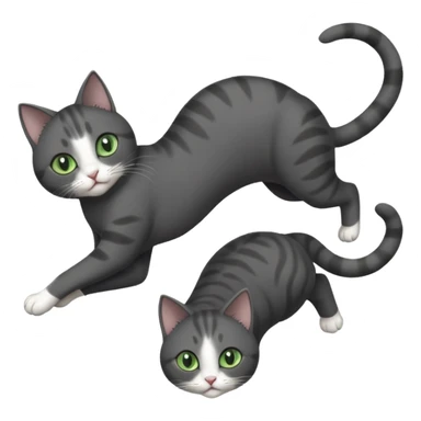 dark grey cat with green eyes, white toes/paws and white patch on her chest playfully rolling upside down sticker