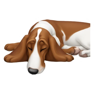 Basset hound sleeping on a mattress sticker
