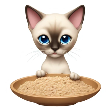 Small boy Siamese cat who is cream color with some brown and blue eyes eating dry food in a pink slow feeder bowl sticker