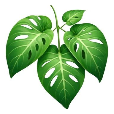 pothos leaf































































 sticker