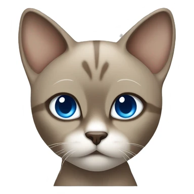 Dark Brown face - beige body and ears female thai cat with blue eyes  sticker