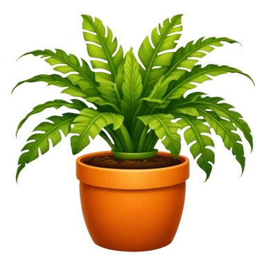 Bird's-nest fern plant in round orange pot sticker