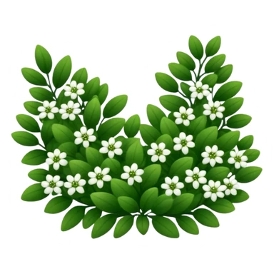 A dense bush with dark leaves and a curved organic shape with small white flower sticker