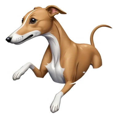 Greyhound swimming  sticker