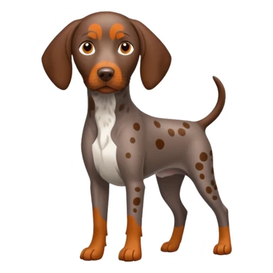 orange spotted german short haired pointer small tail sticker