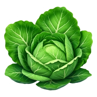 Kachan cabbage sticker