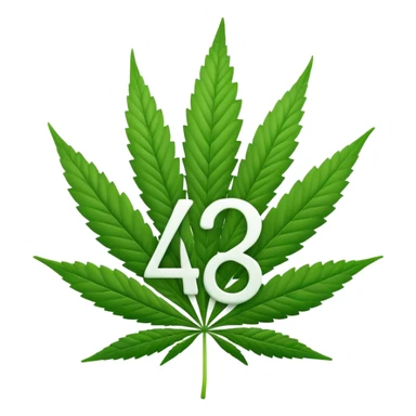 number 420 as emoji with large digits in front and cannabis leaf in the background sticker