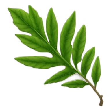 Une feuille d’érable japonais verte sticker