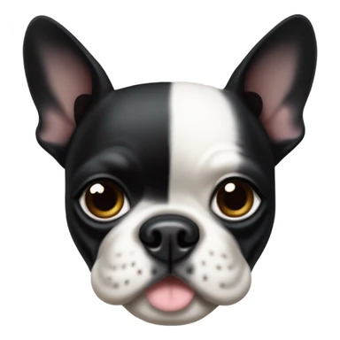 boston terrier with floppy ears sticker