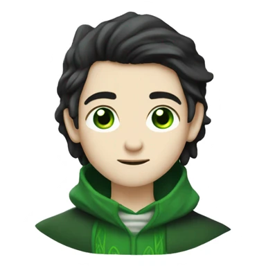 teenage white-skinned wizard with black hair green eyes in green disgue sticker
