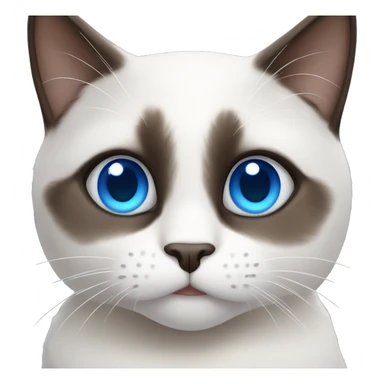 snowshoe cat with blue eyes  sticker