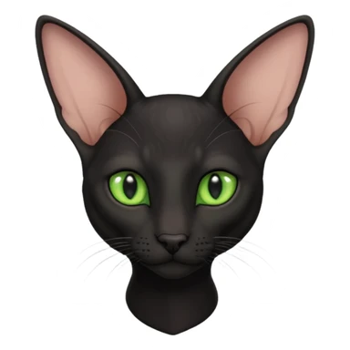 Black oriental shorthair sticker