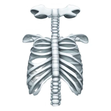 X-ray of rib cage sticker