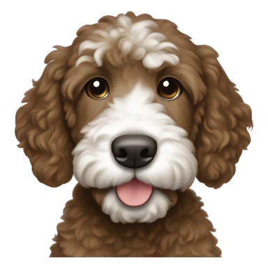 dark brown goldendoodle puppy whit nose and top of head sticker
