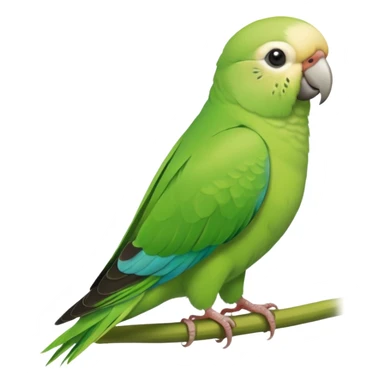 Green Quaker Parakeet sticker