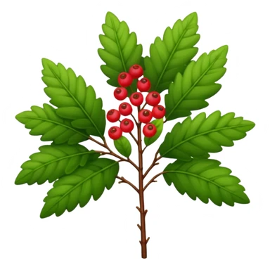 A tall shrub with layered leaves and a few small berries. sticker