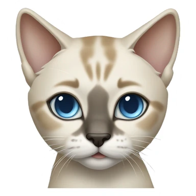 Thai breed cat with a light cream-brown body, dark gray nose and face, ears, and paws. sharp ears, and striking light blue eyes  sticker