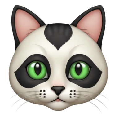Haz una gata de ojos verdes la cara blanca con mancha negra en las orejas que agarra parte de la frente del lado der pero del iz va desde el ojo hasta la oreja la mancha, tiene la nariz negra en forma de corazón y todo lo que sobra de la cara, barbilla la nariz arriba y el lado de bigotes es blanca sticker