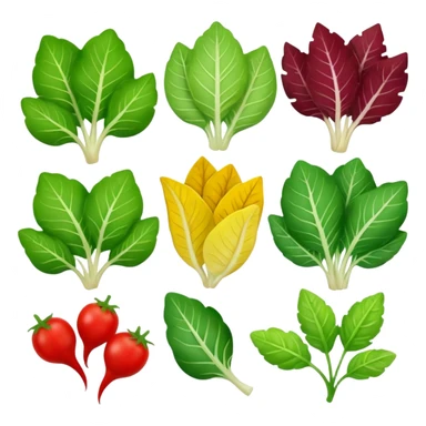 different salad leaves different colors  sticker