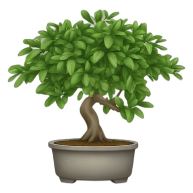 ficus sticker