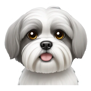 Grey and white shih tzu sticker