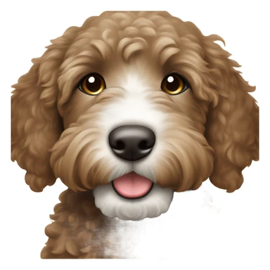 Dark brown goldendoodle puppy white near nose and white spot on top of head sticker
